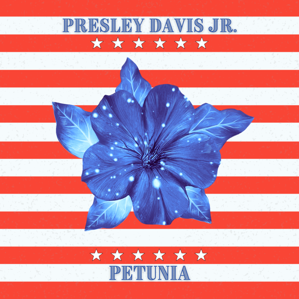 An image of a sparkly blue petunia in the middle of a background of red and white stripes. Image reads: Presley Davis Jr: Petunia